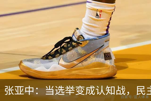 张亚中：当选举变成认知战，民主还有意义吗